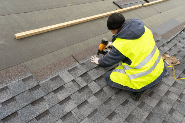 Best Roof Gutter Cleaning  in Fosston, MN