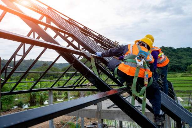 Best Sealant for Roof  in Fosston, MN