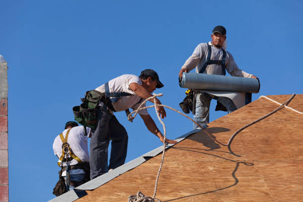 Best Metal Roofing Contractor  in Fosston, MN