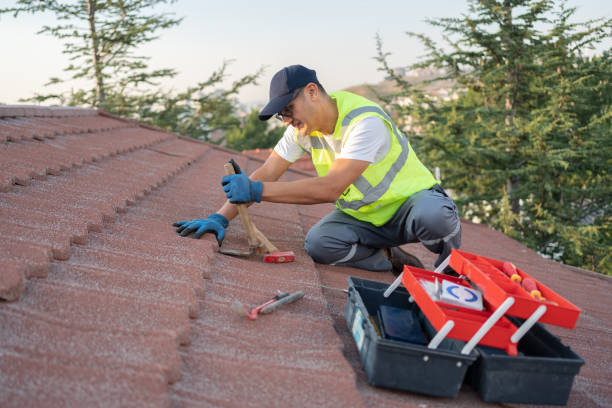 Best Roof Waterproofing Services  in Fosston, MN